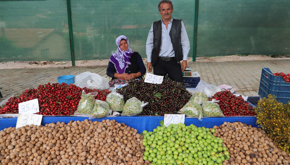 11. Bayındır Balcılar Kiraz Festivali Pazar günü yapılacak